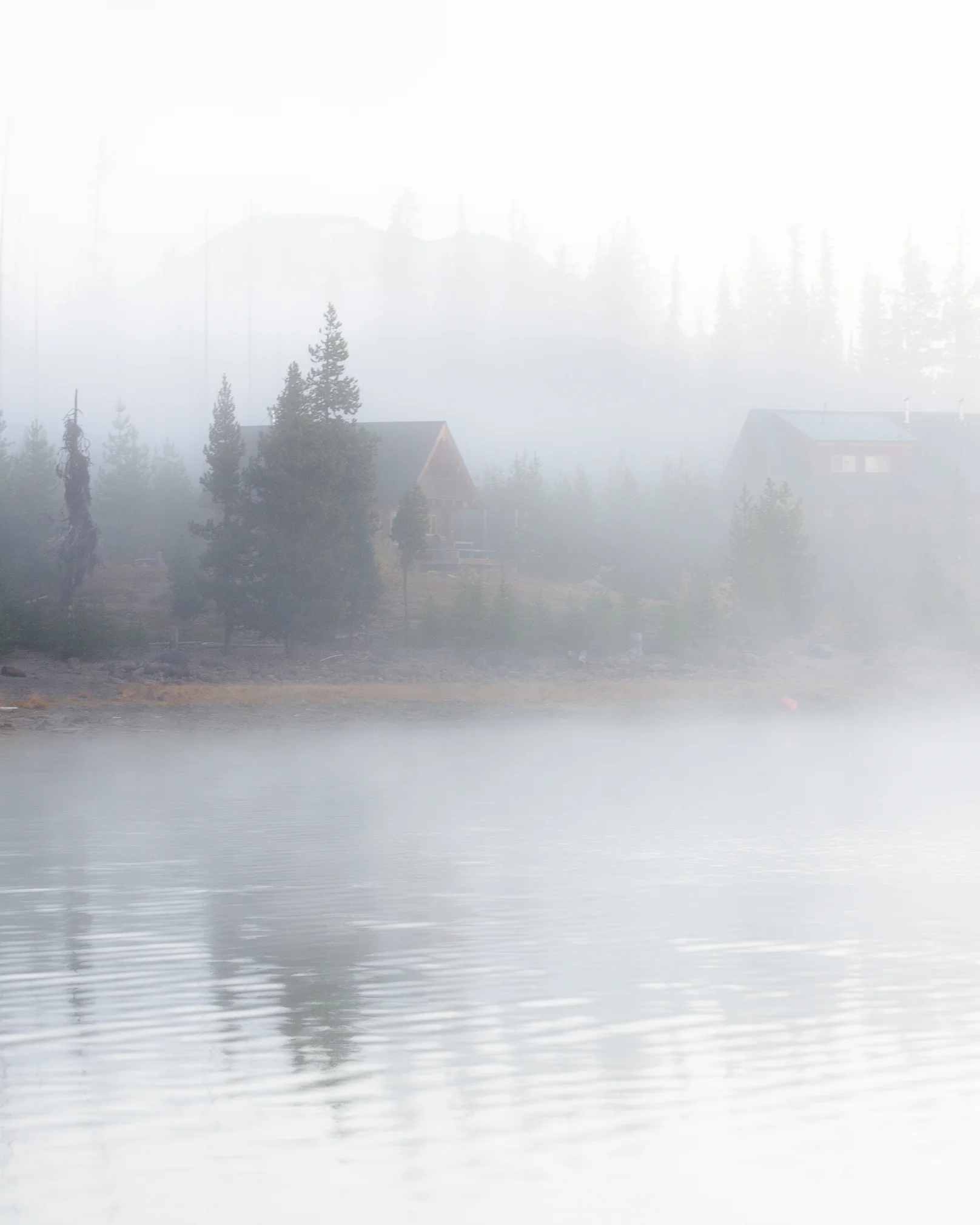 Through the Fog