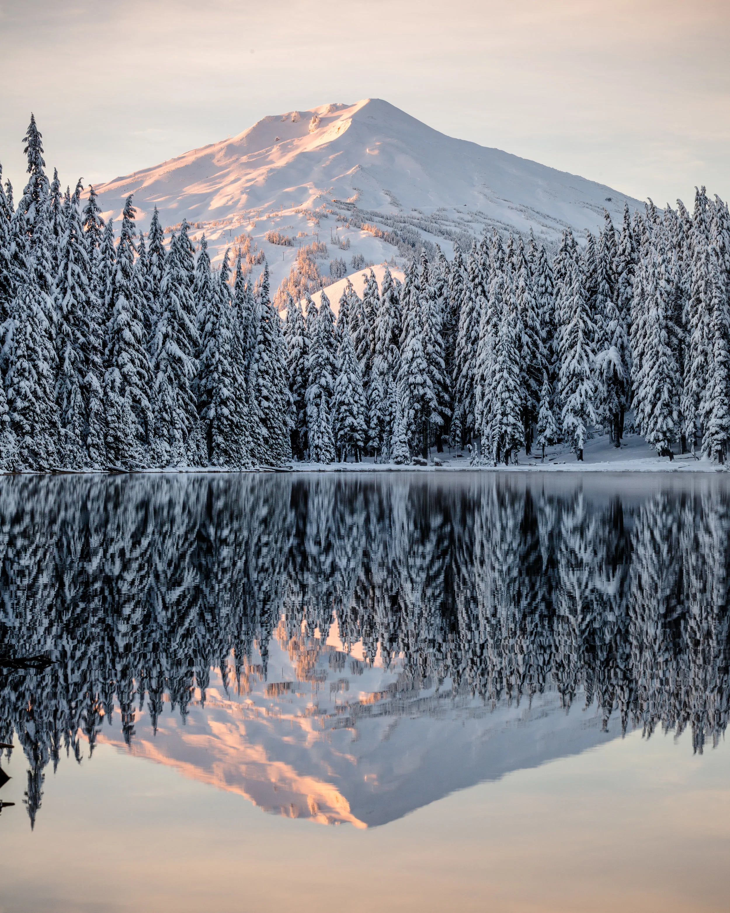 A Bachelor Reflection