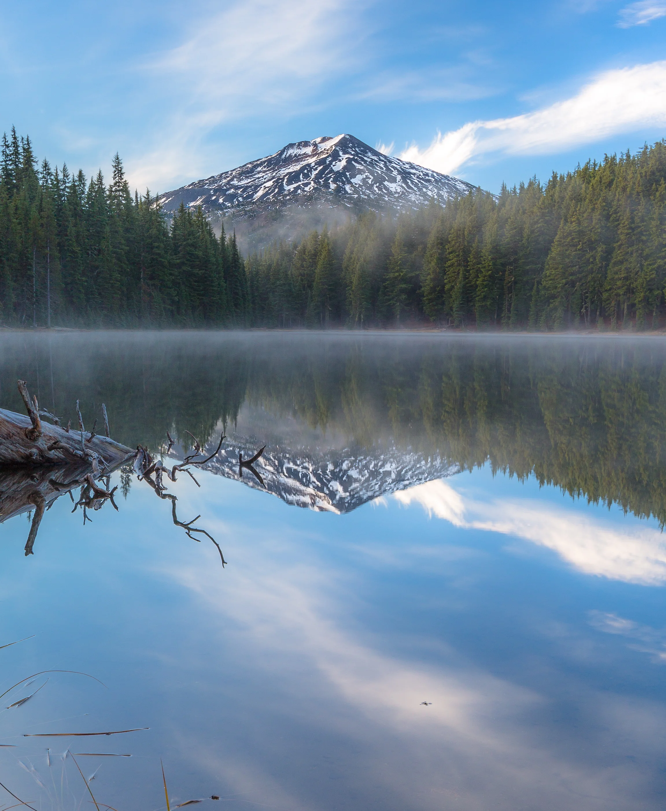The Sound of Silence