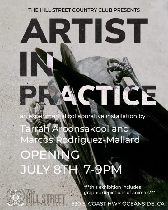 artist in practice tarrah aroonsakool and marcos rodriguez mallard opening reception flyer