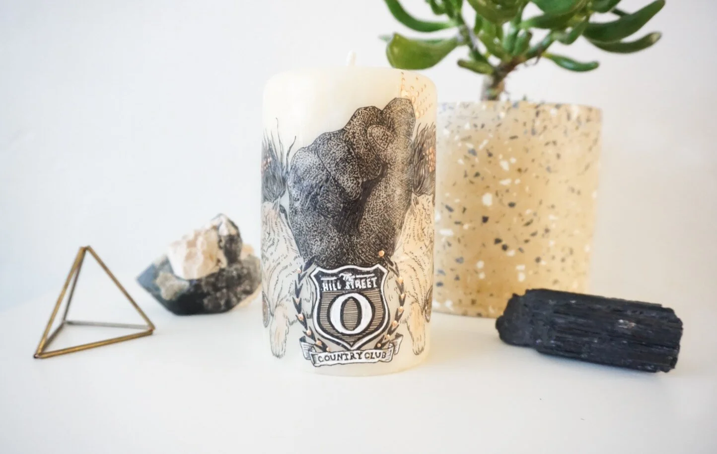 Screen Shot 2020-11-30 at 7.36.03 PM.jpeg