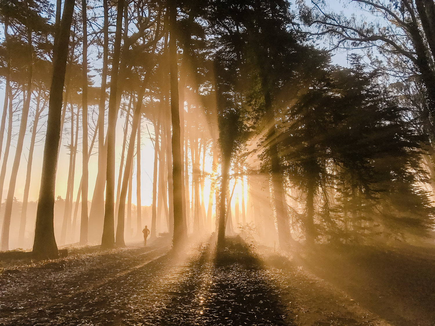 PRESIDIO-2.jpg