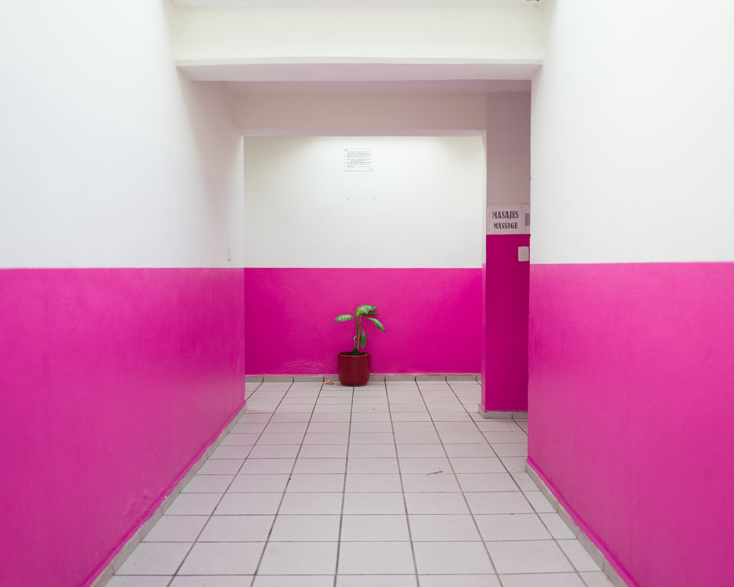 Fifty Fifty - Yucatan Mexico.jpg