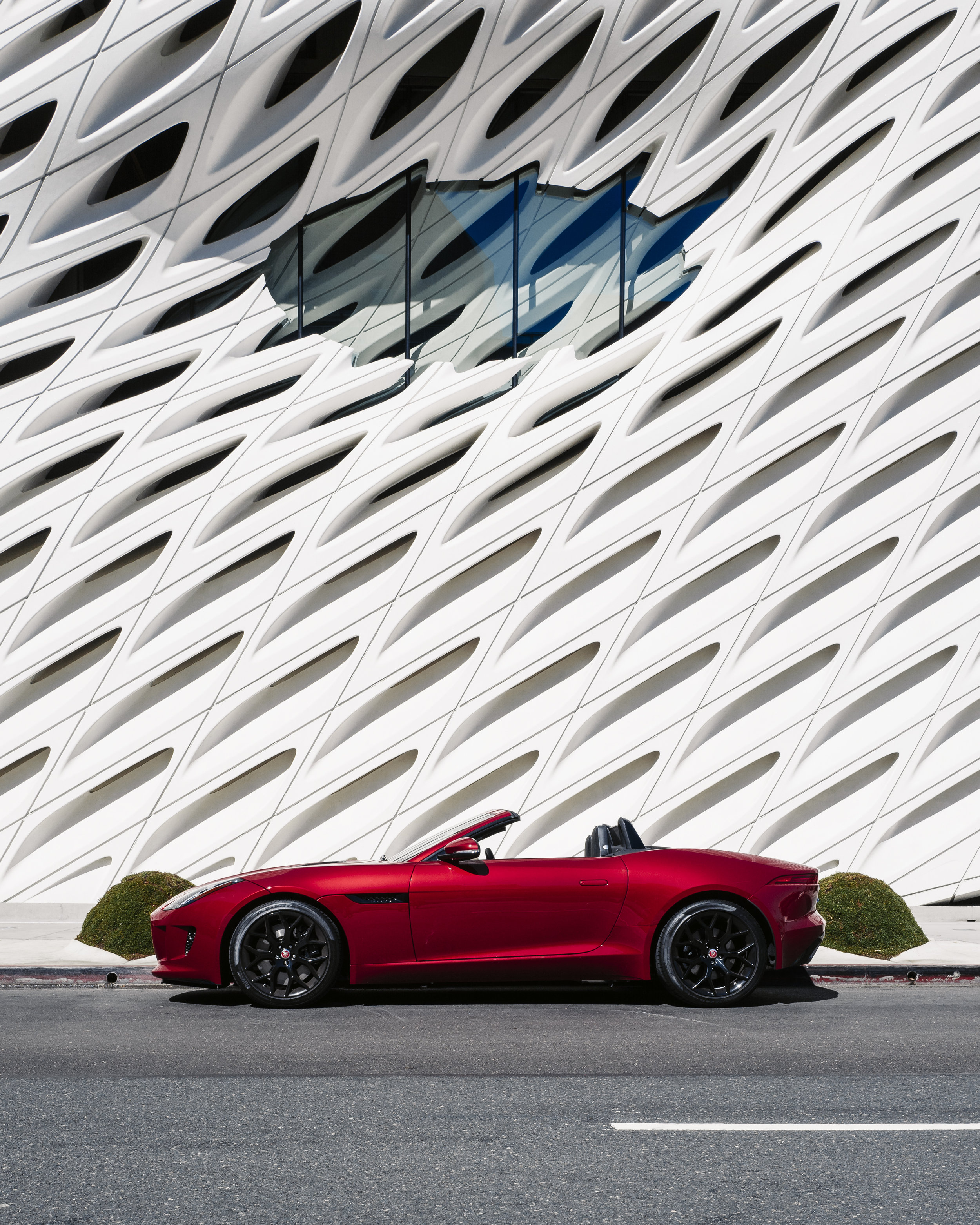F-TYPE_07.jpg