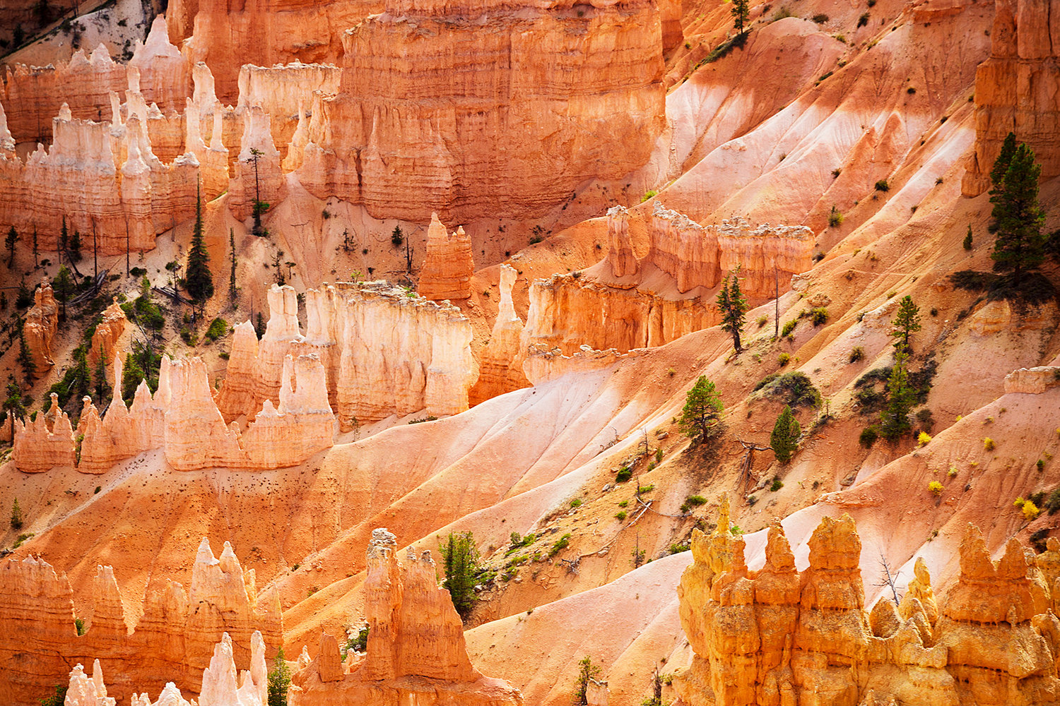 TRAVELSITE-30.jpg