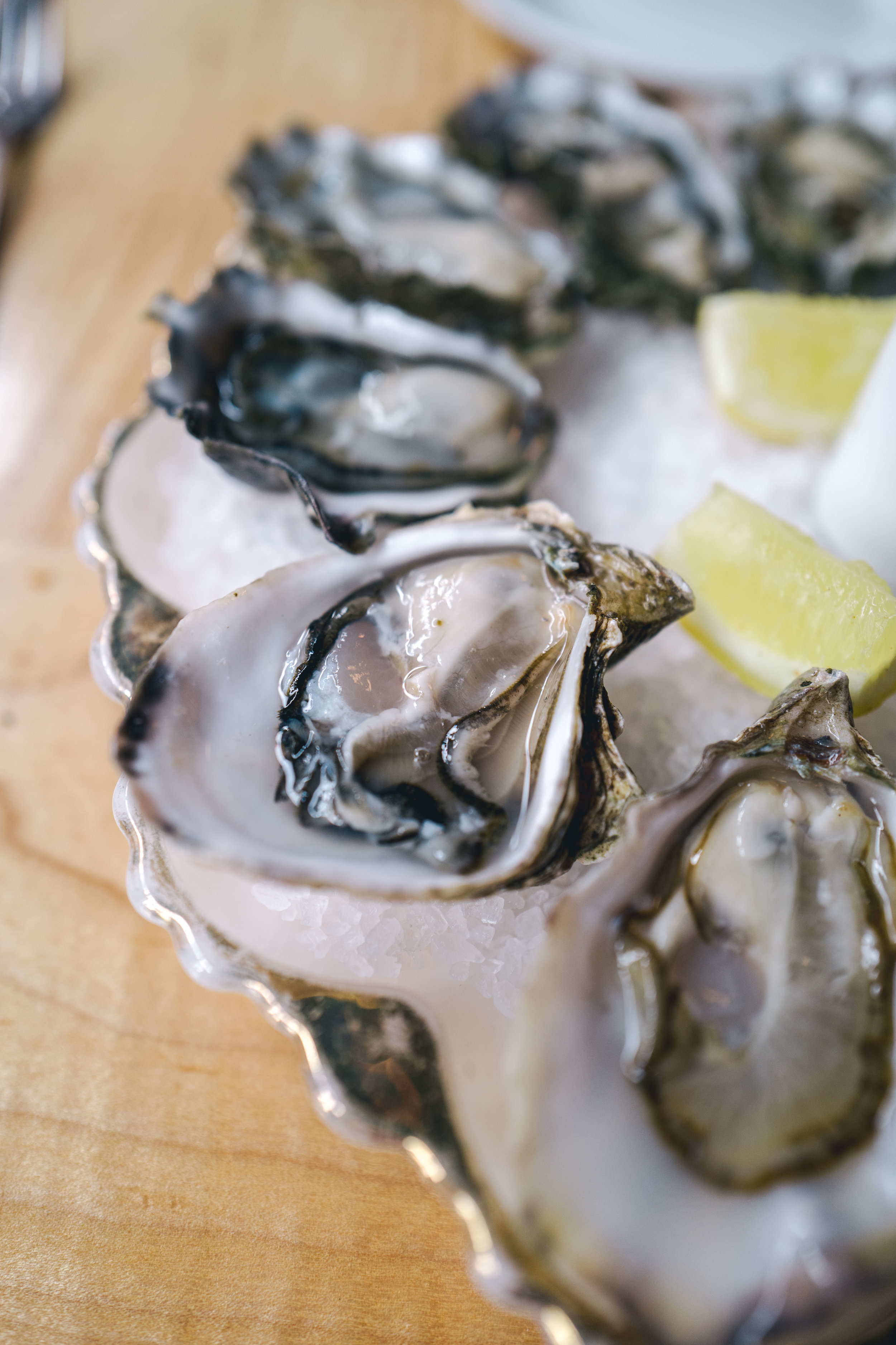 samhorine-seattle-1020881.jpg
