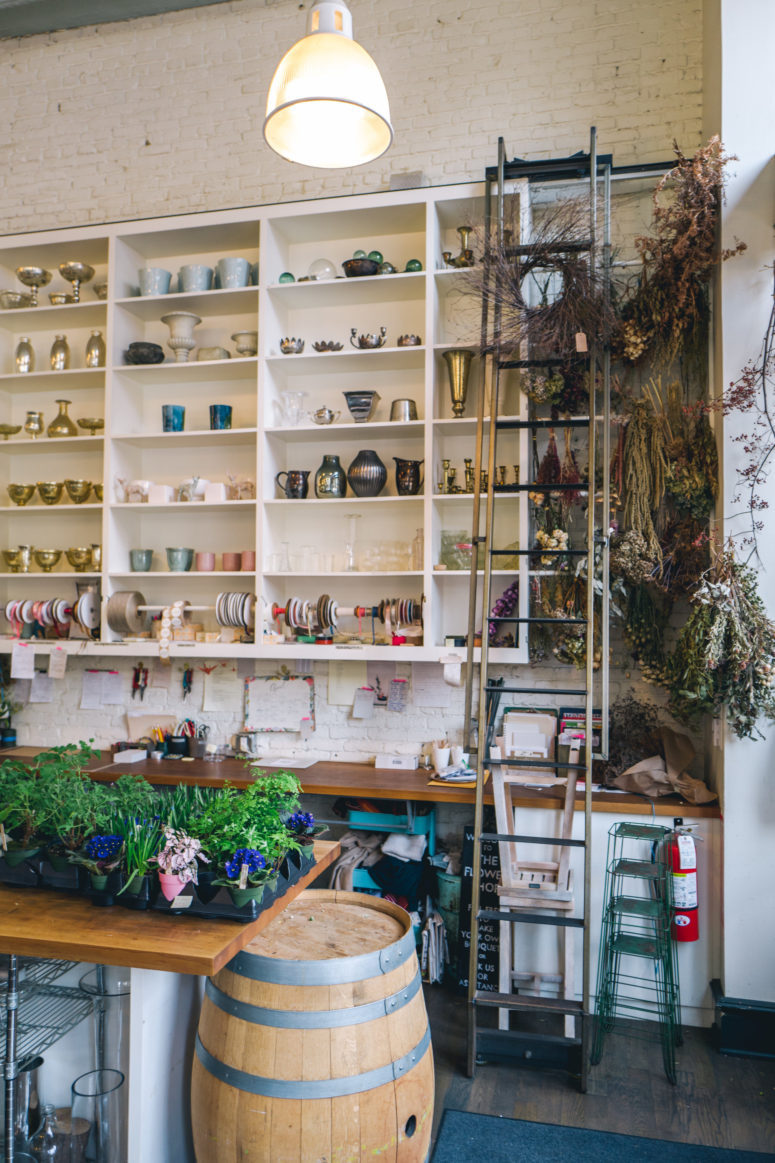 samhorine-seattle-1020945.jpg
