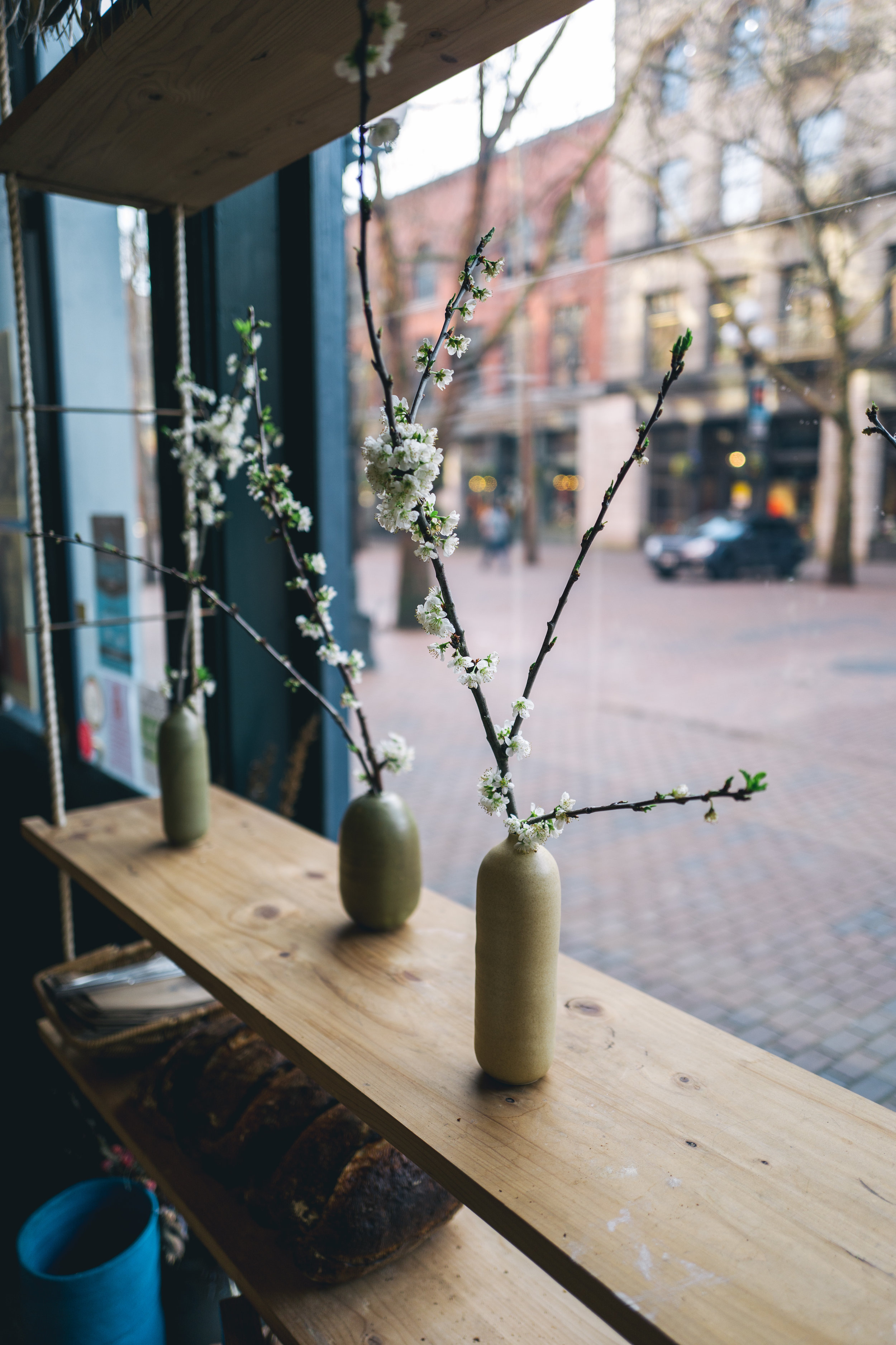 samhorine-seattle-1020960.jpg