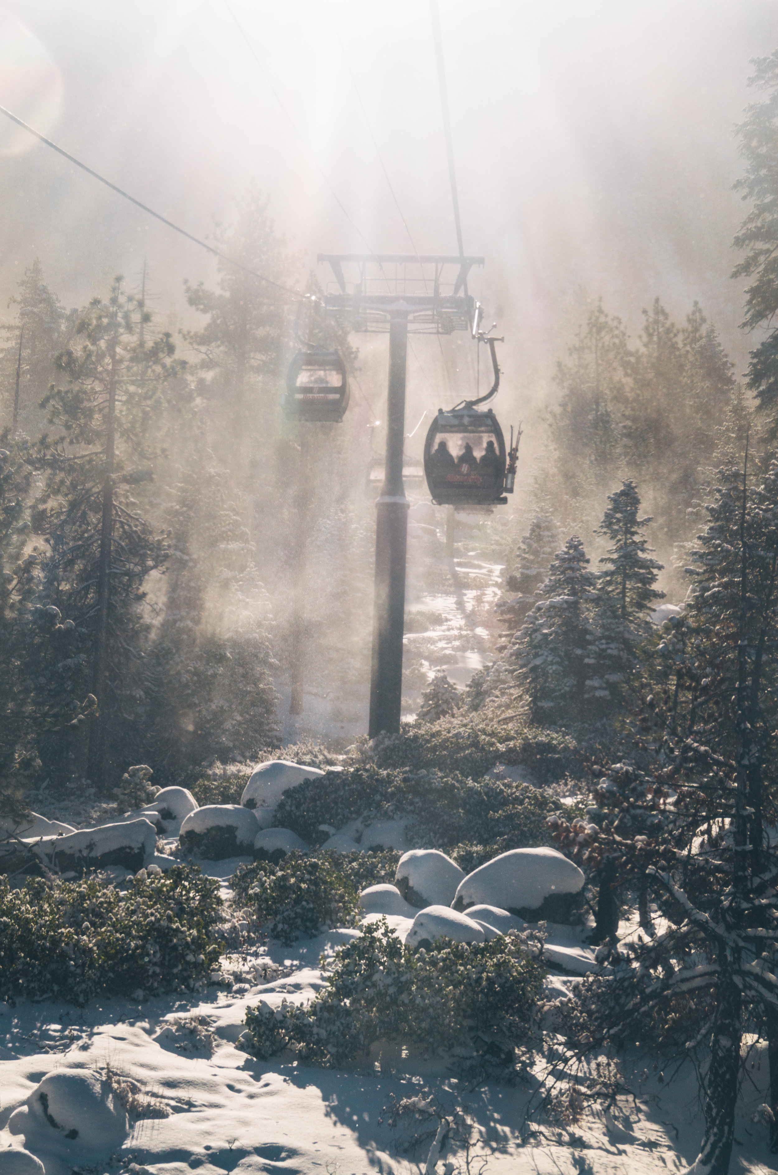 samhorine-tahoe-1220803.jpg