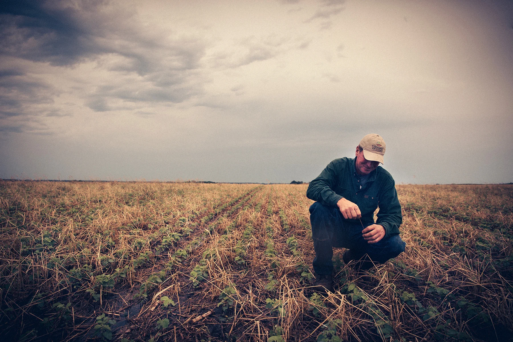 farmers-04.jpg
