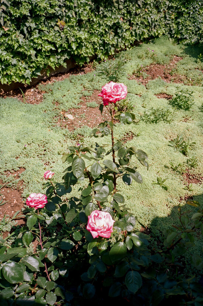 00c09a188e230ac1-34750033.jpg