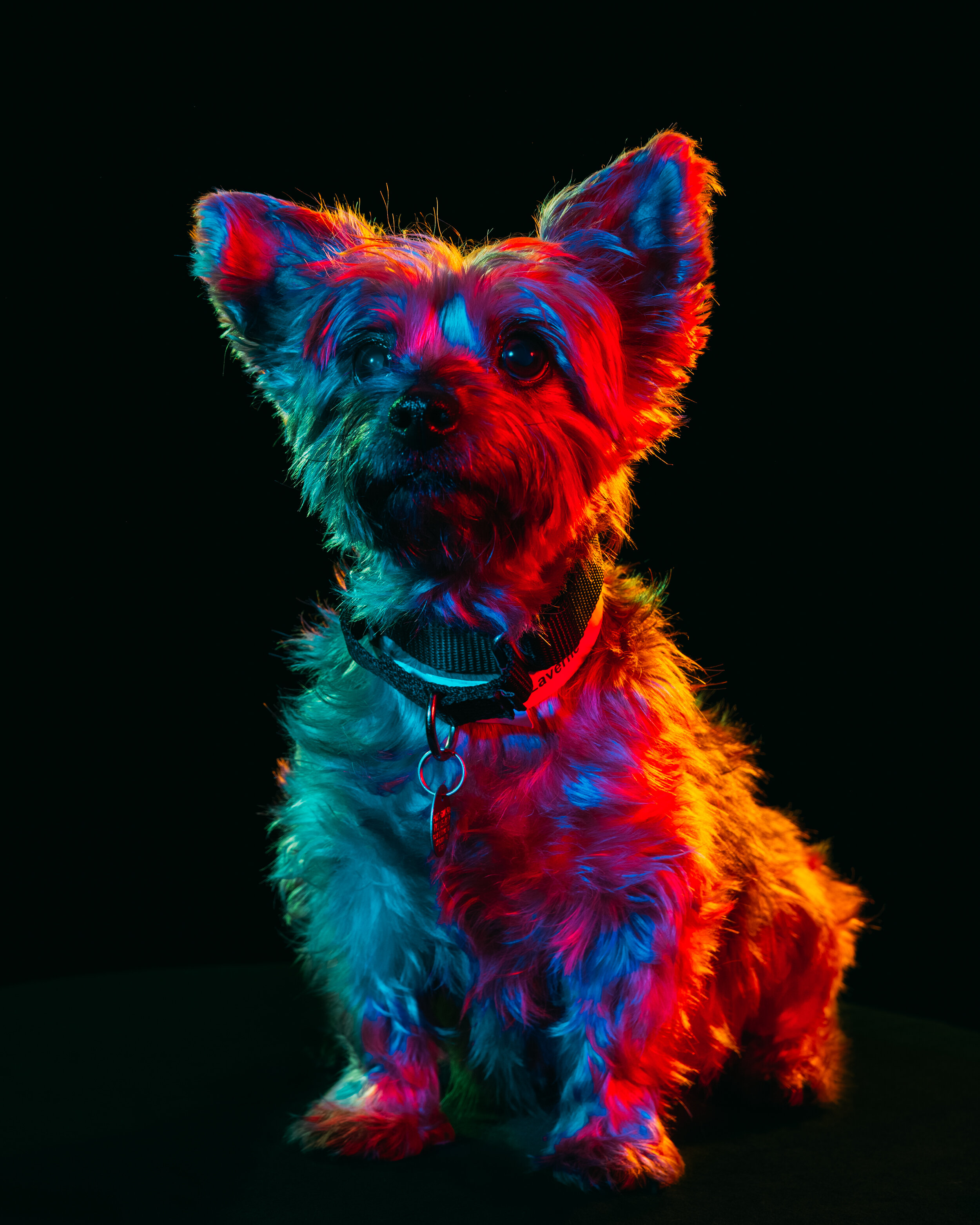 tinker-67.jpg