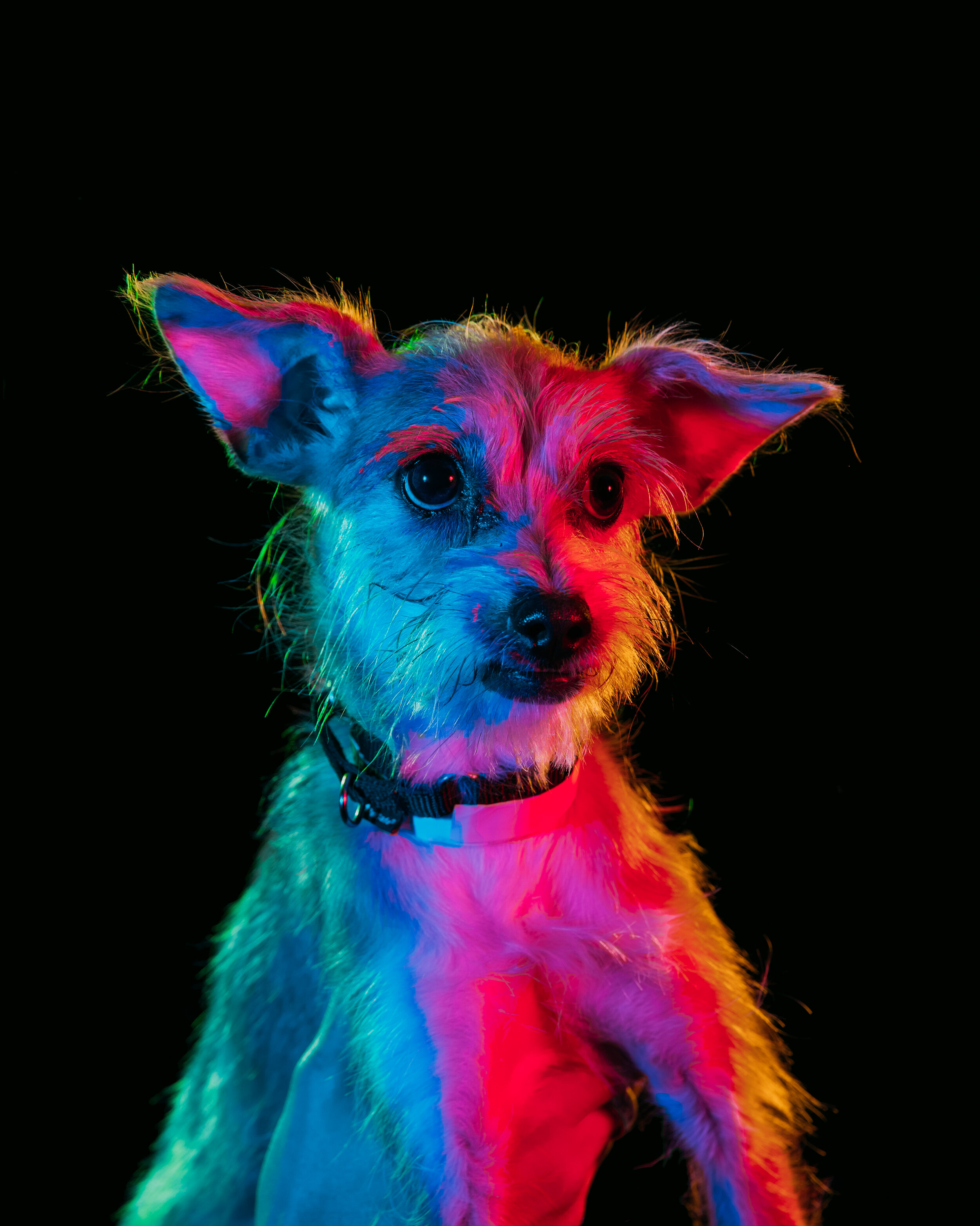 tinker-69.jpg