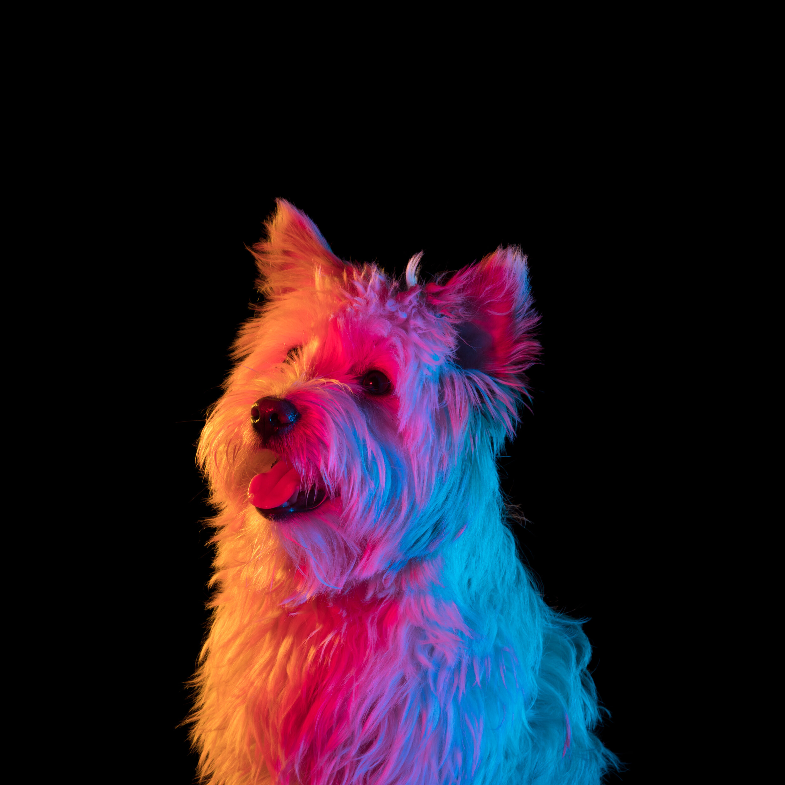 tinker-118.jpg