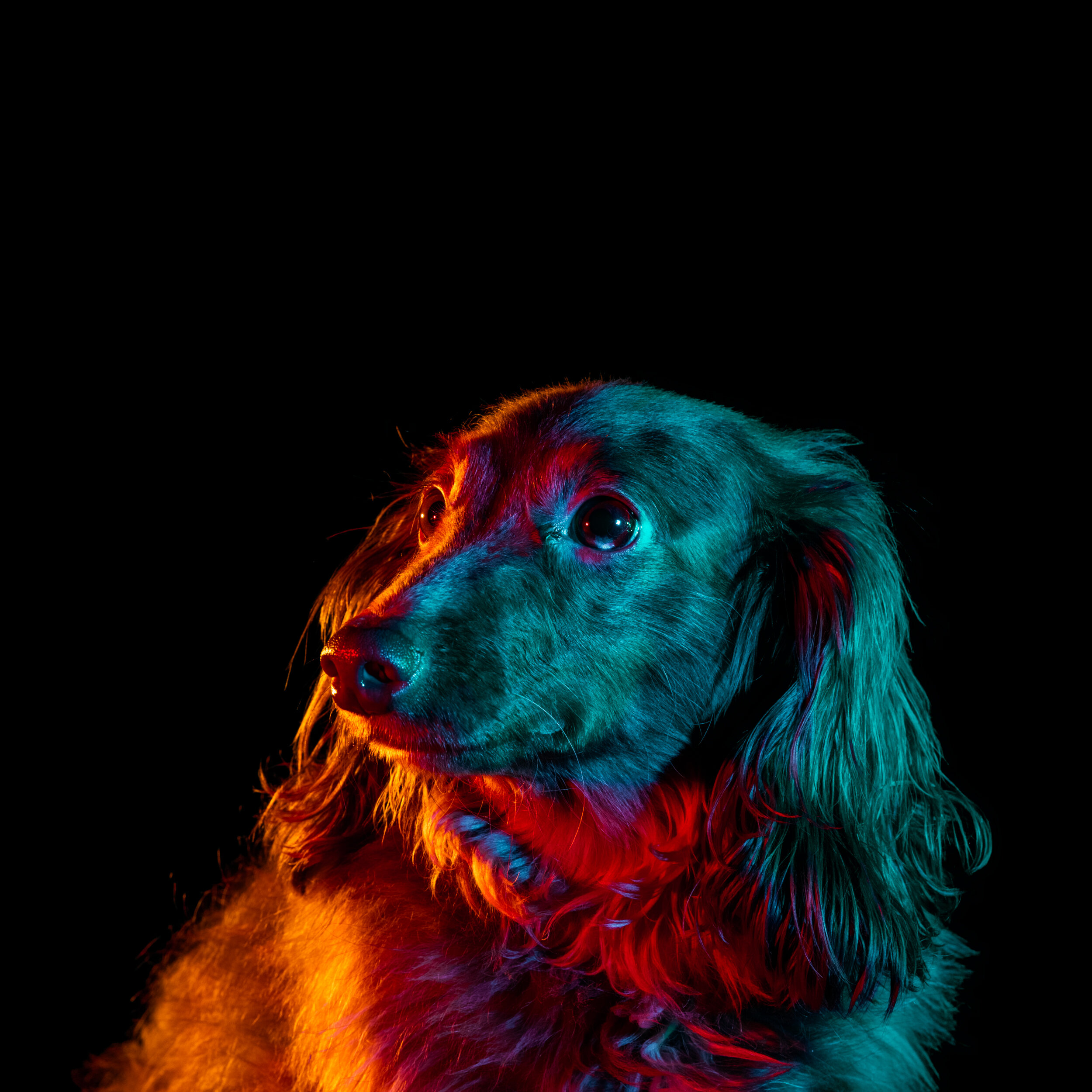 tinker-128.jpg