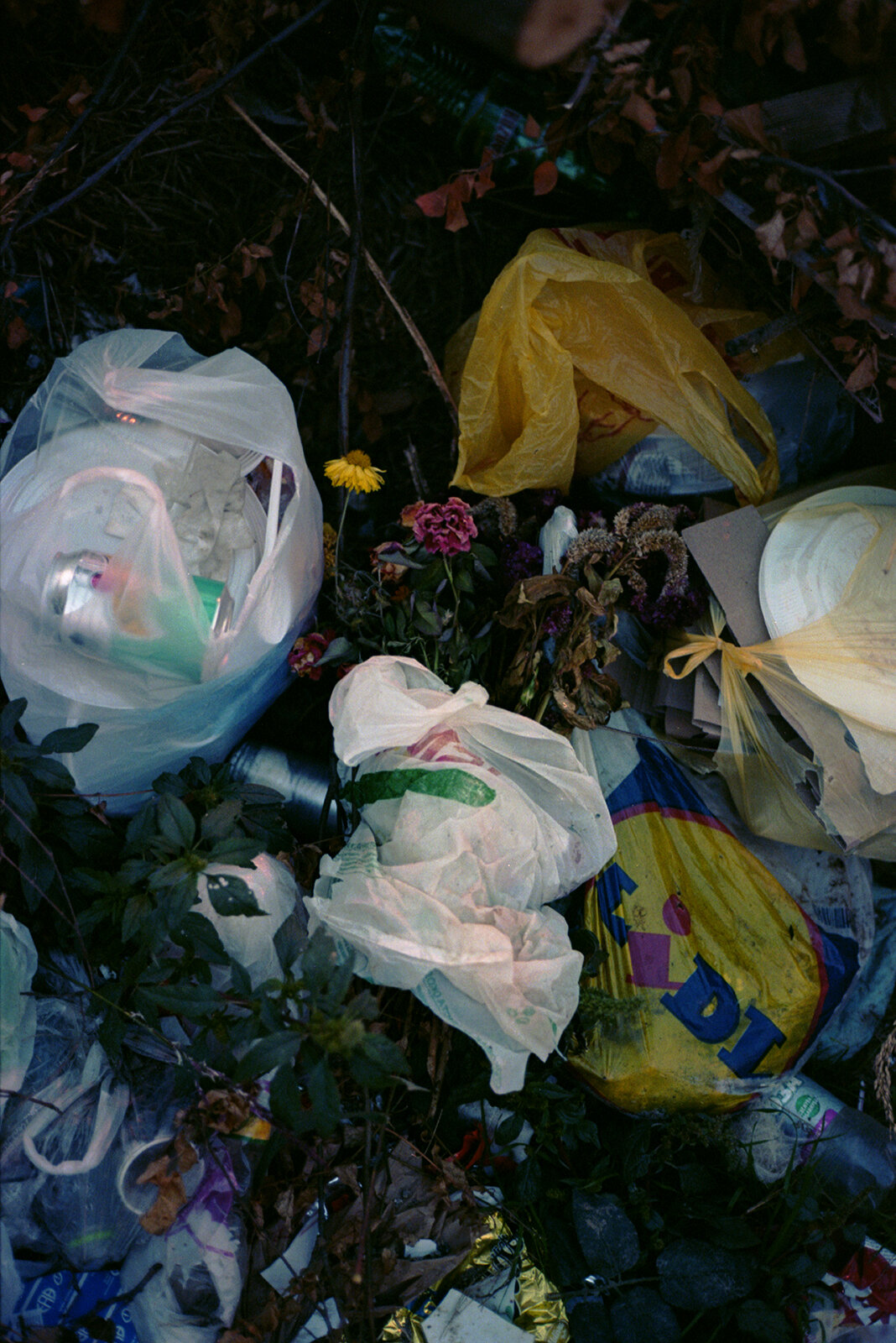 Scan-43.jpg