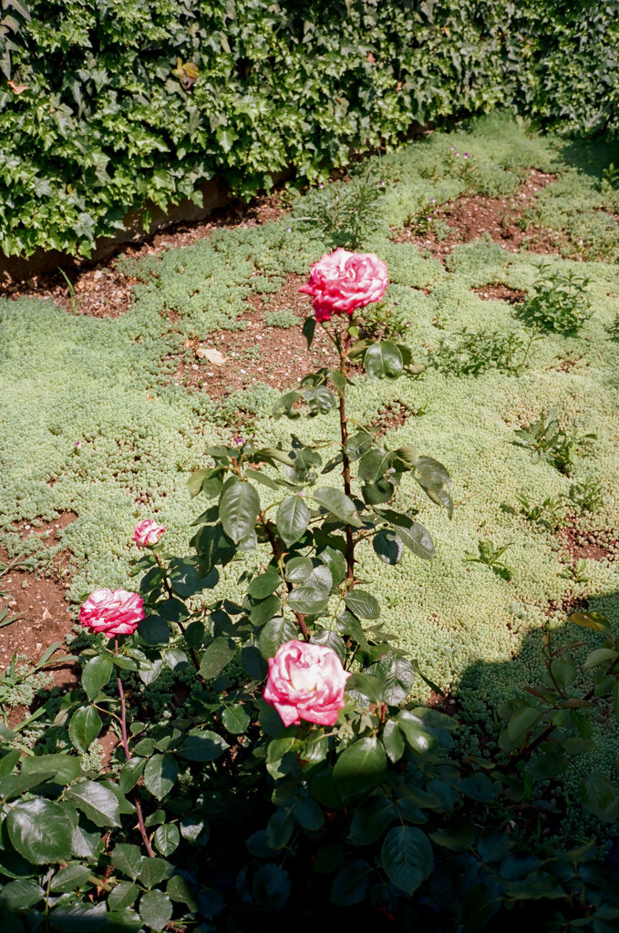 00c09a188e230ac1-34750033.jpg