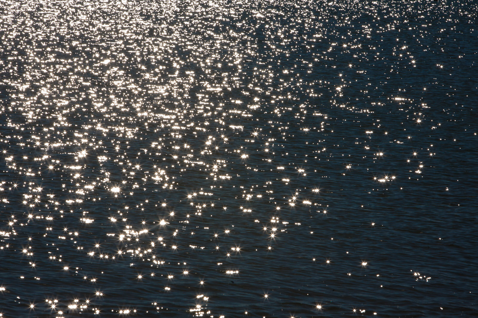_MG_8545.jpg
