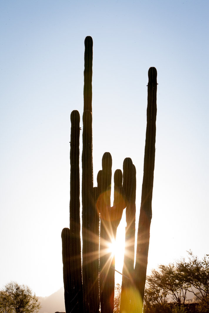 080121_HUICHOL_BrookeDuthiePhoto-2029.jpg