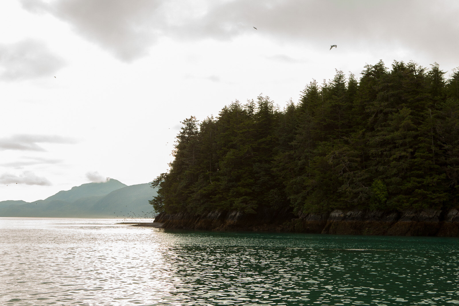 090806_Alaska_1267.jpg
