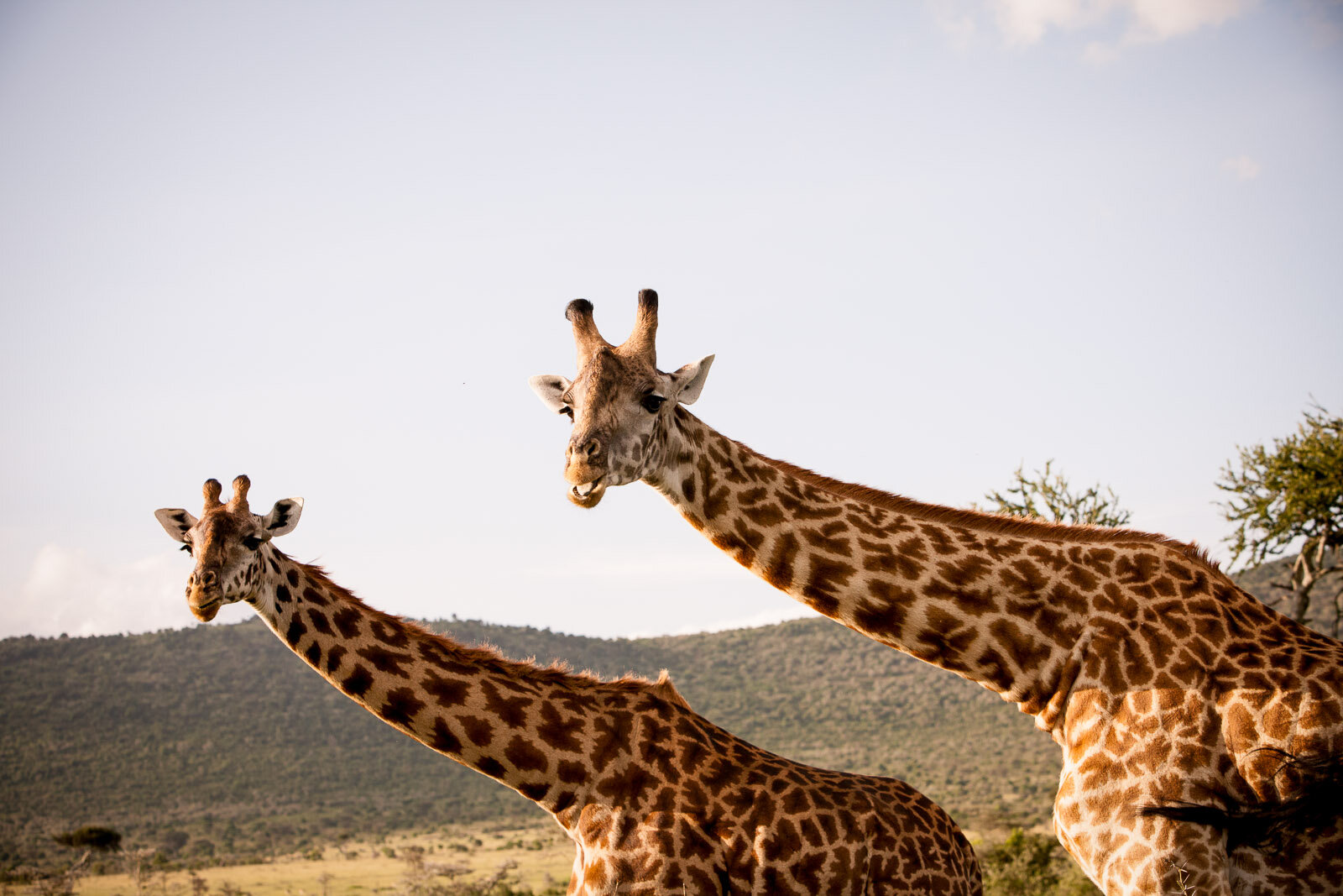 100310_masai_mara_BrookeDuthiePhoto-0188_-Edit-Edit.jpg