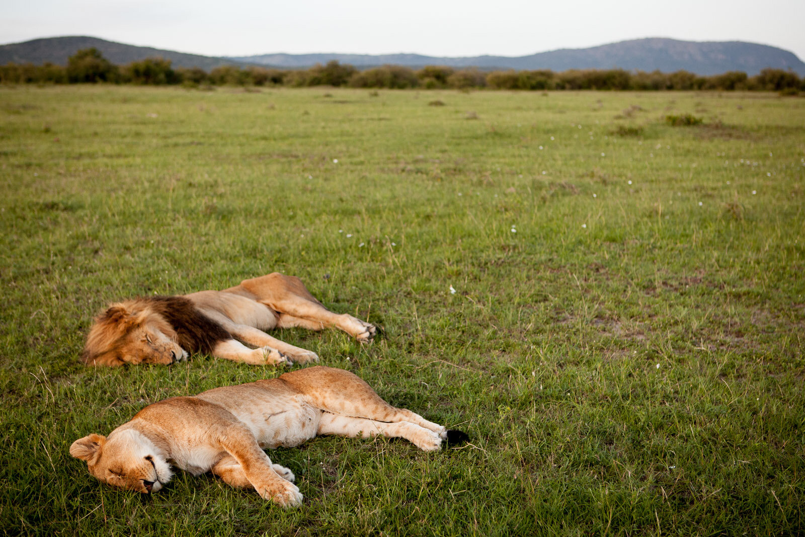 100310_masai_mara_BrookeDuthiePhoto-0321_.jpg