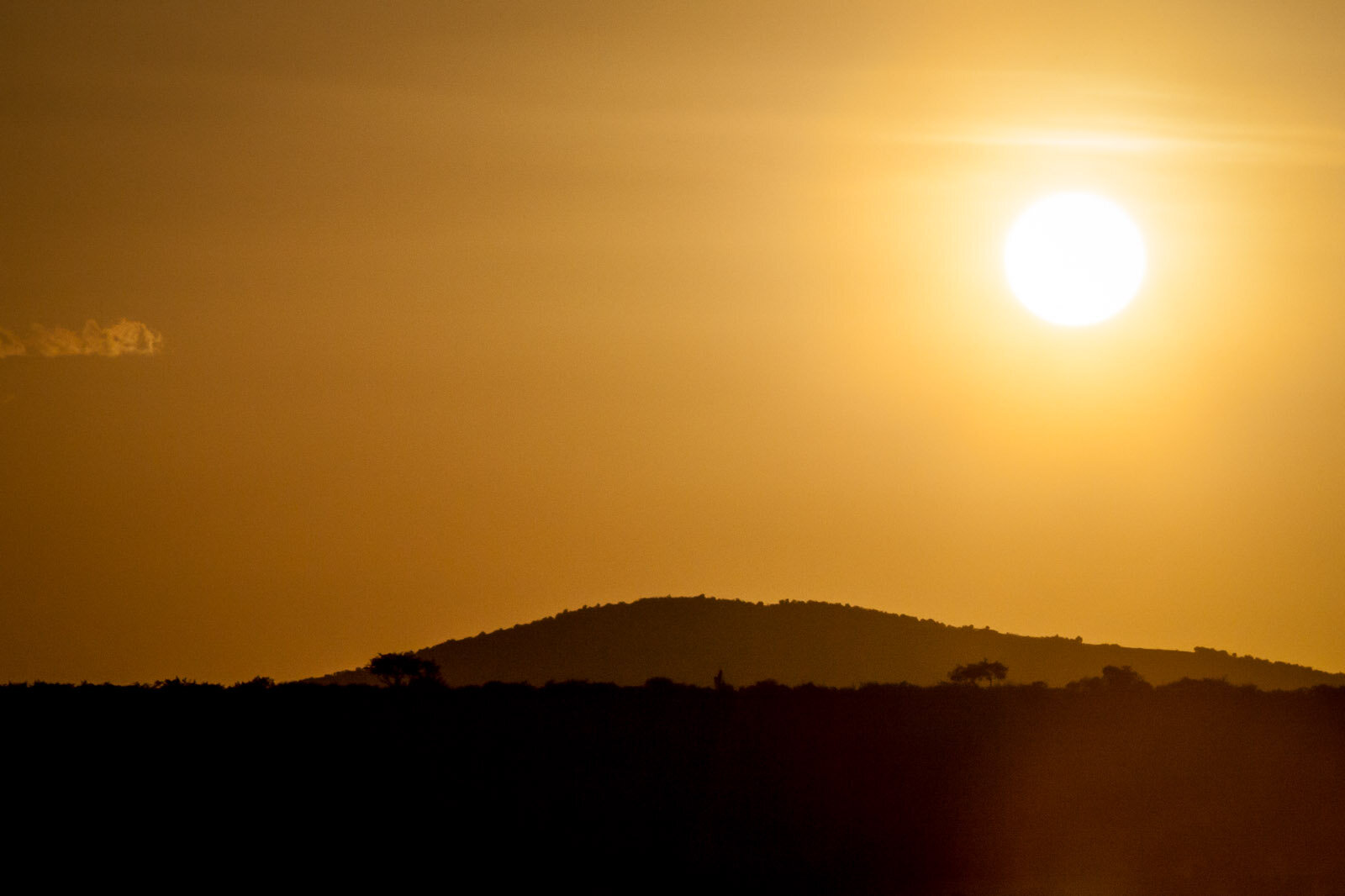 100313_masai_mara_BrookeDuthiePhoto-0830-Edit.jpg