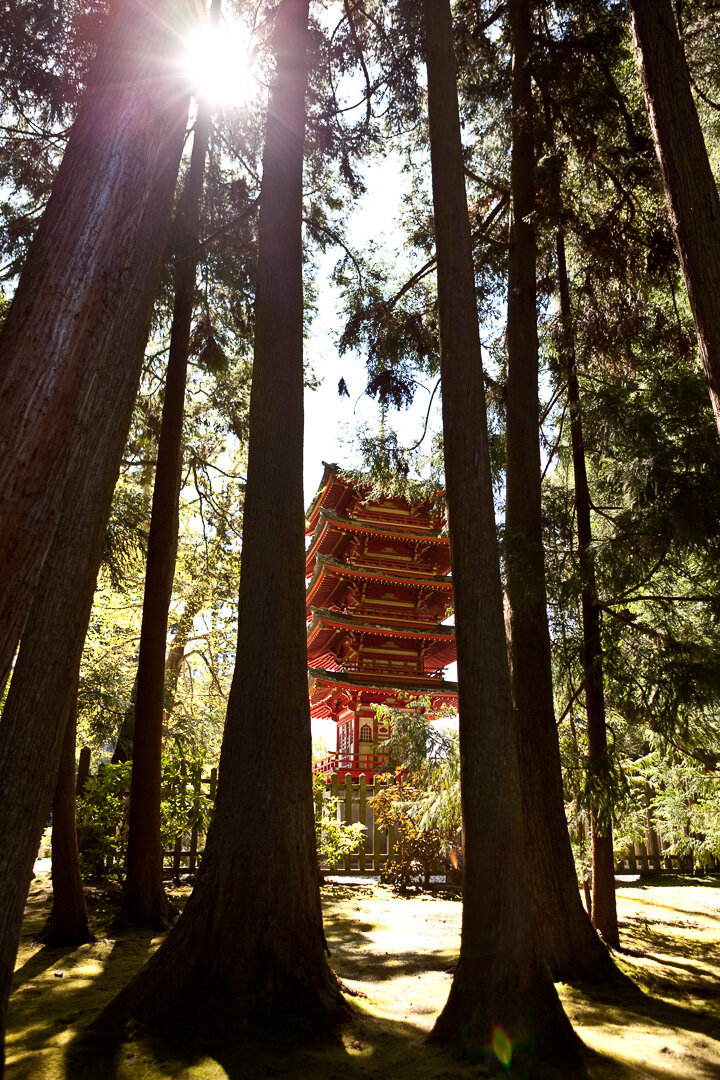 100507_japanese tea garden_Brooke Duthie photo-0008.jpg