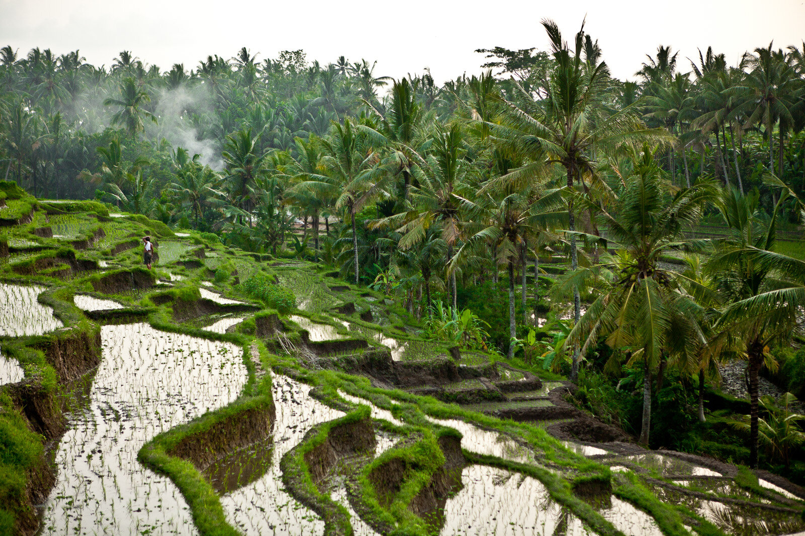 110129_soulshine bali_Brooke Duthie photo-0163untitleduntitled_print res.jpg