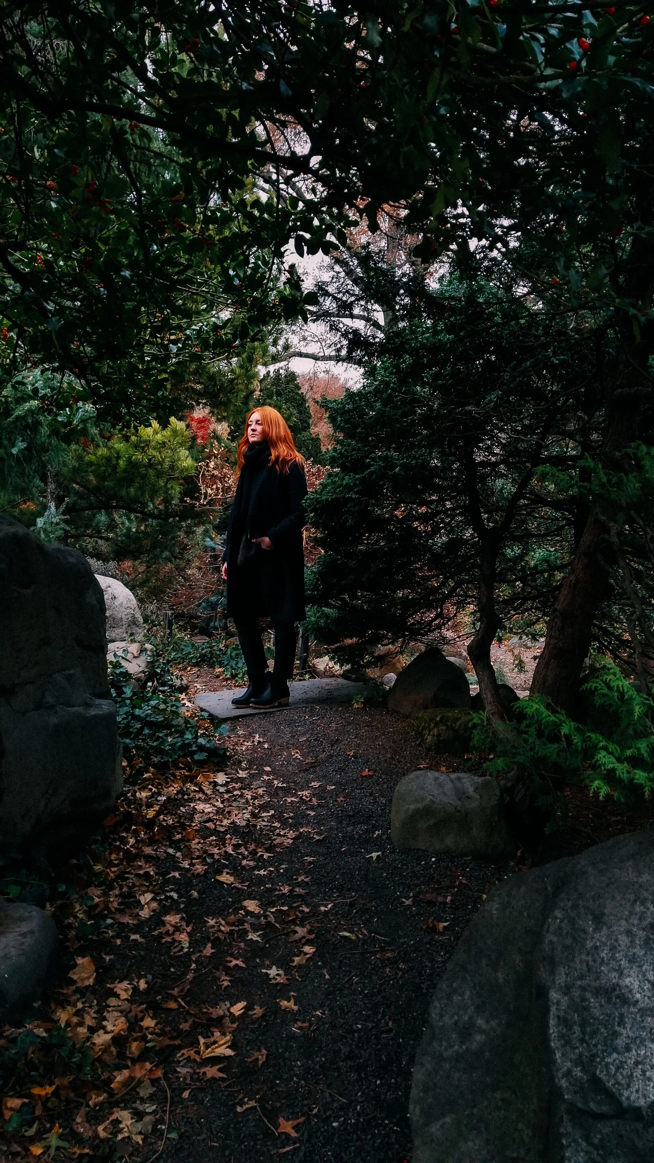 AL_samsung leaves 2.jpeg