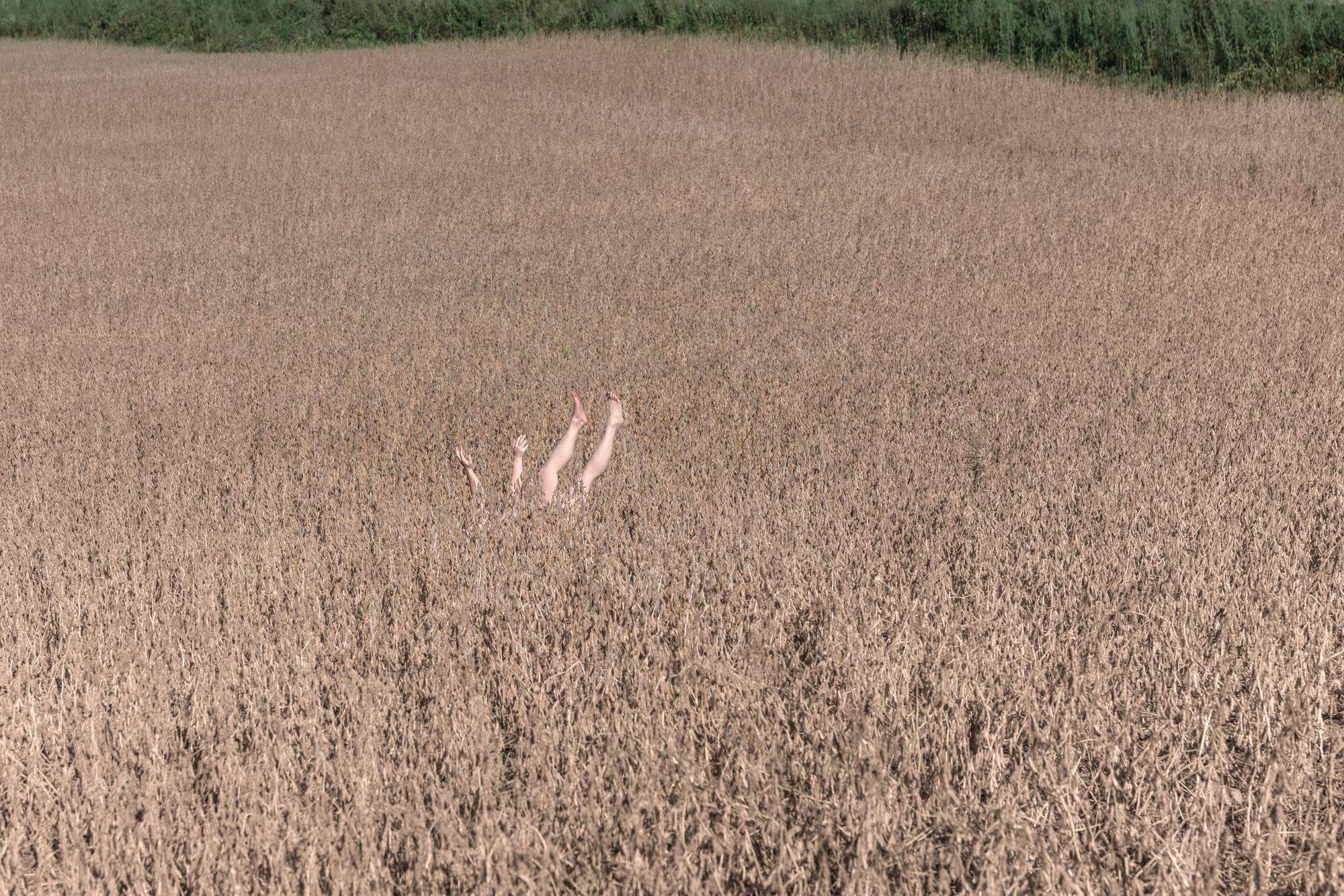 46463504_2251377648230381_7860954302565580800_o.jpg