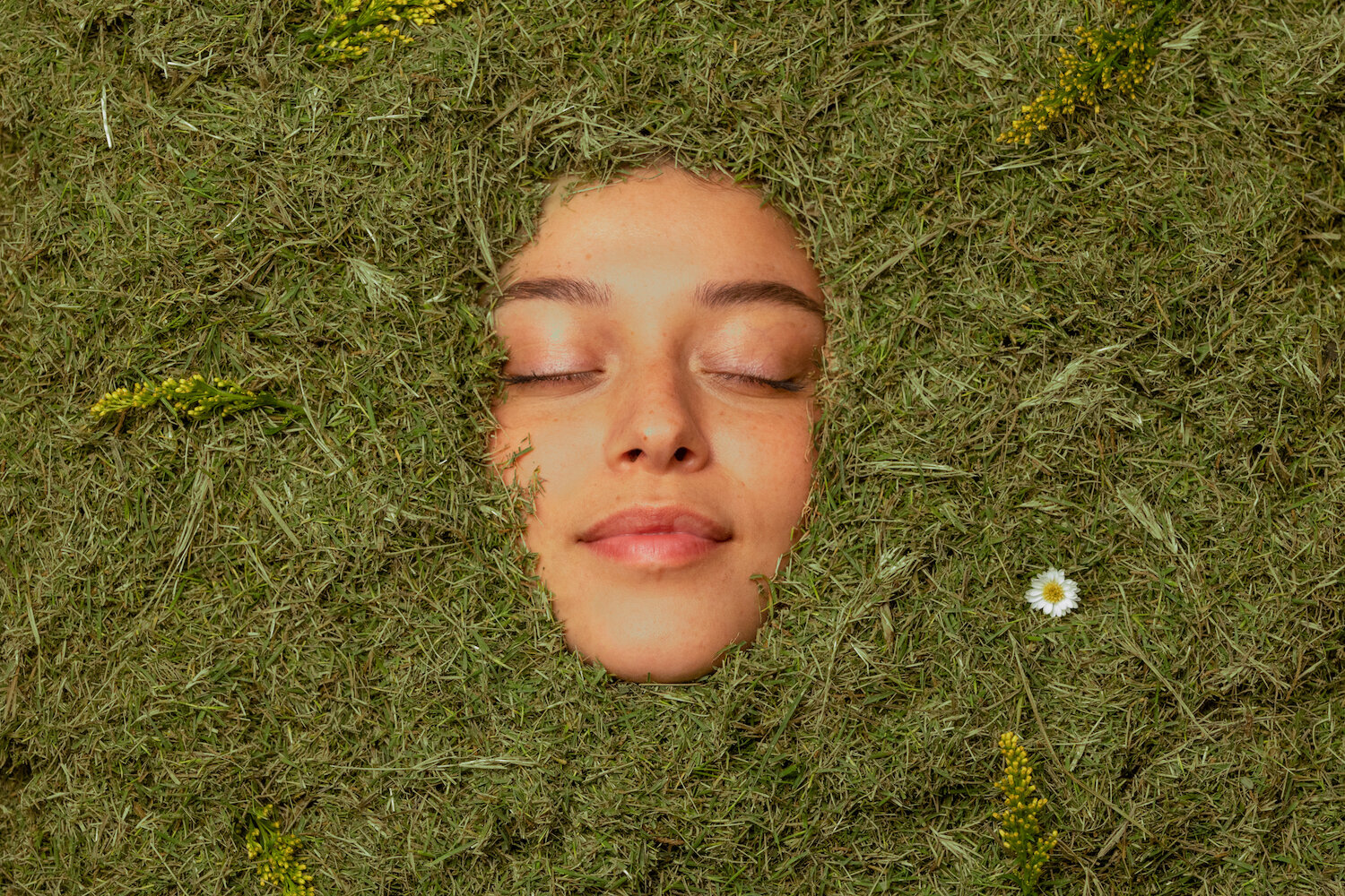 20201022_Picnic_GRASS_041.jpg