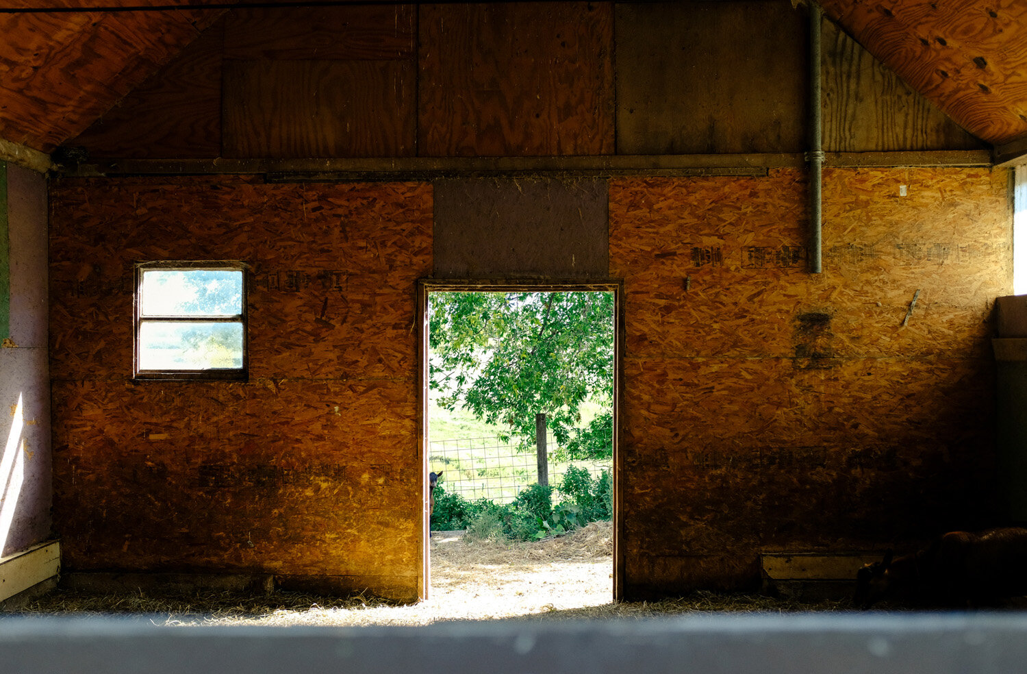 Farm (28 of 121).jpg