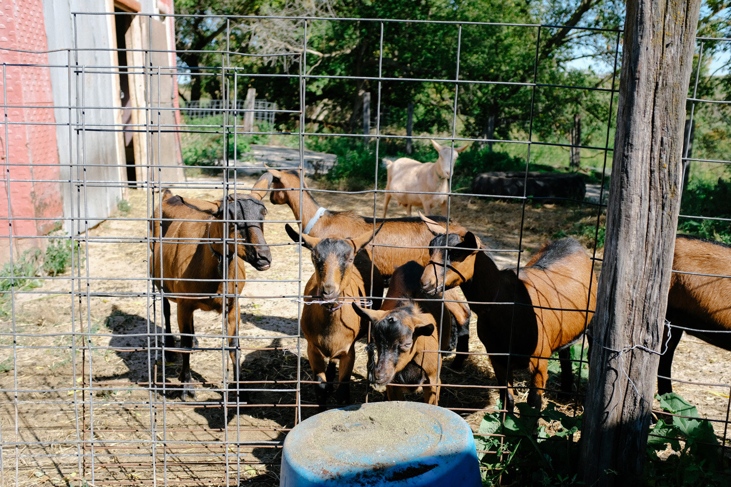 Farm (31 of 121).jpg