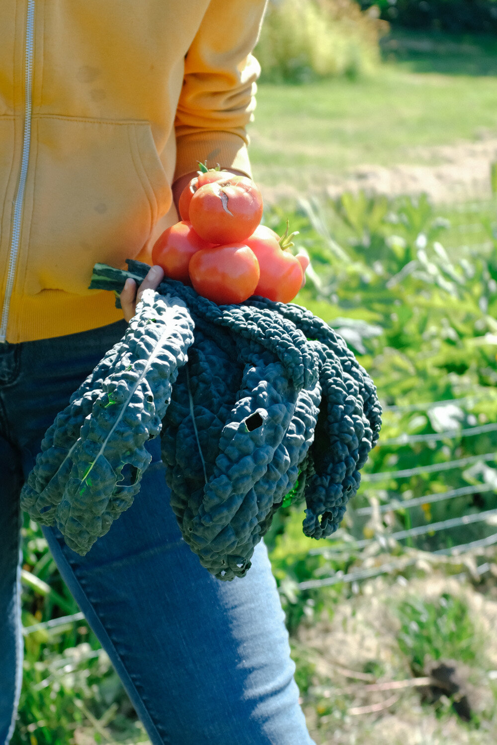Farm (37 of 121).jpg