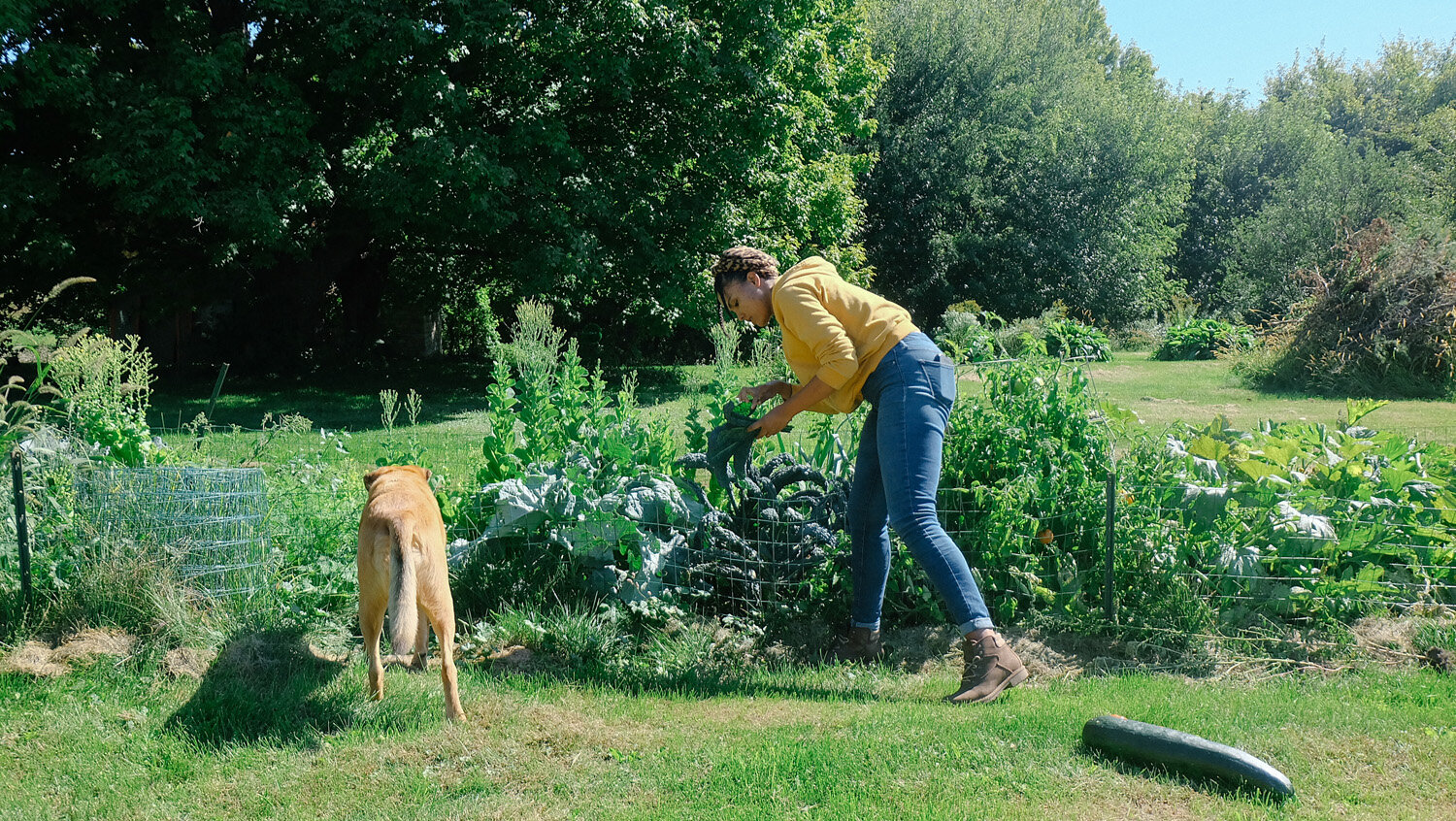Farm (40 of 121).jpg