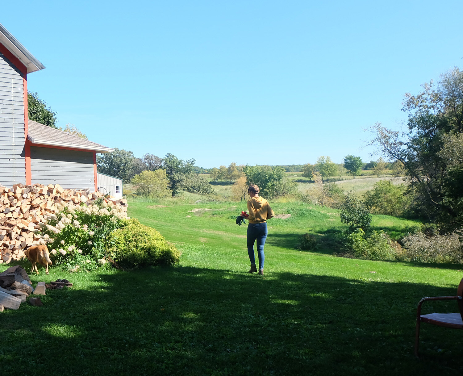 Farm (43 of 121).jpg