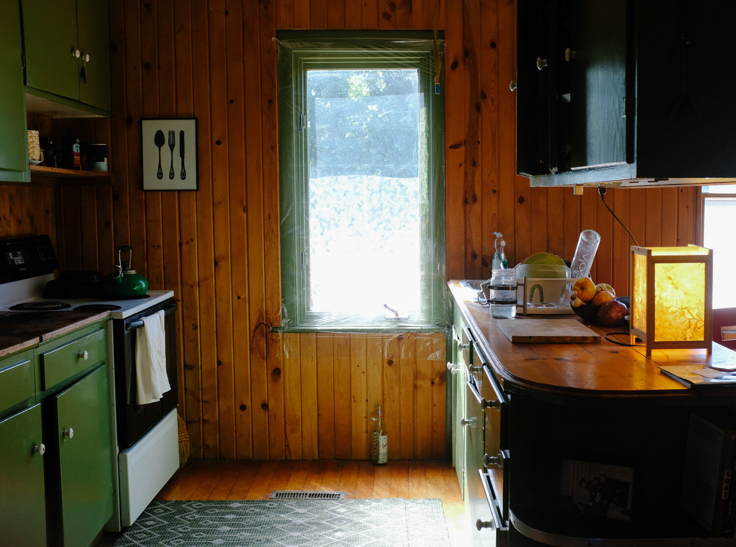 Farm (50 of 121).jpg