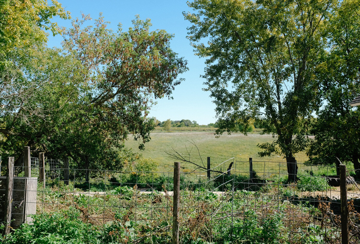 Farm (65 of 121).jpg