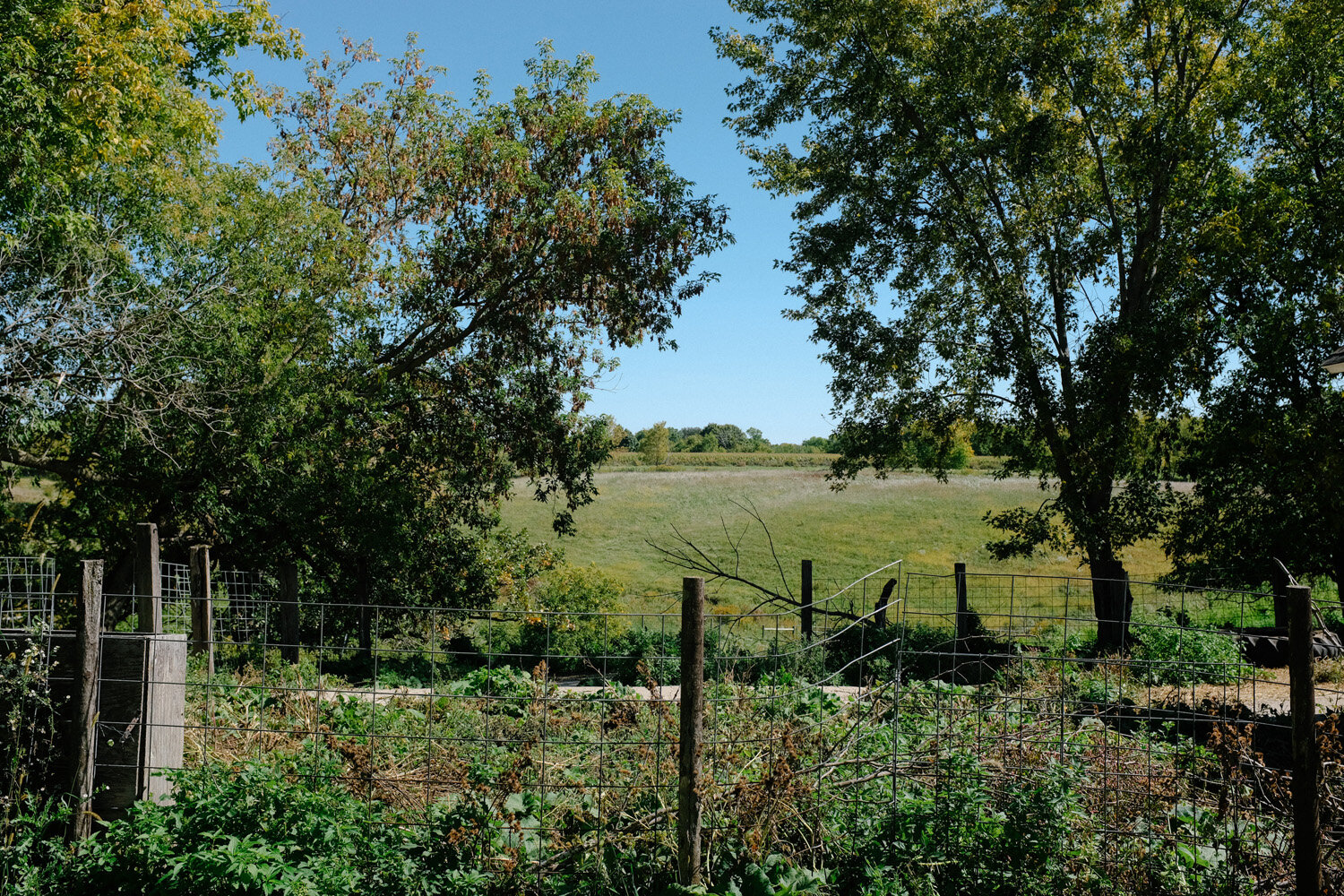 Farm (66 of 121).jpg