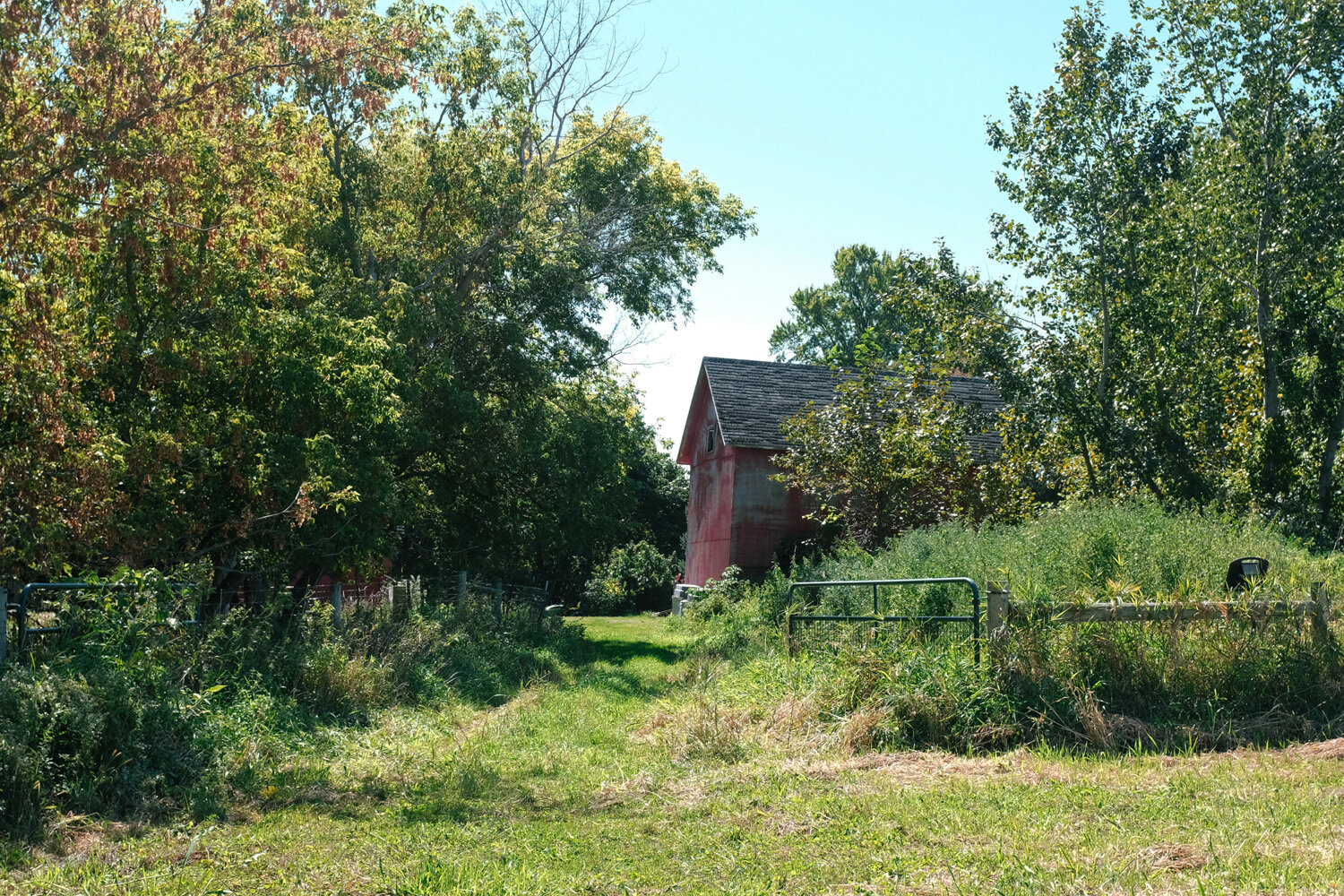 Farm (71 of 121).jpg