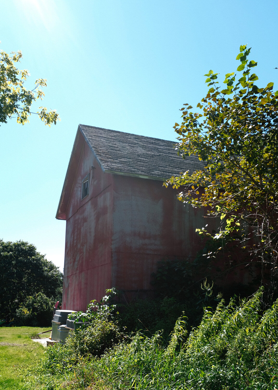 Farm (80 of 121).jpg