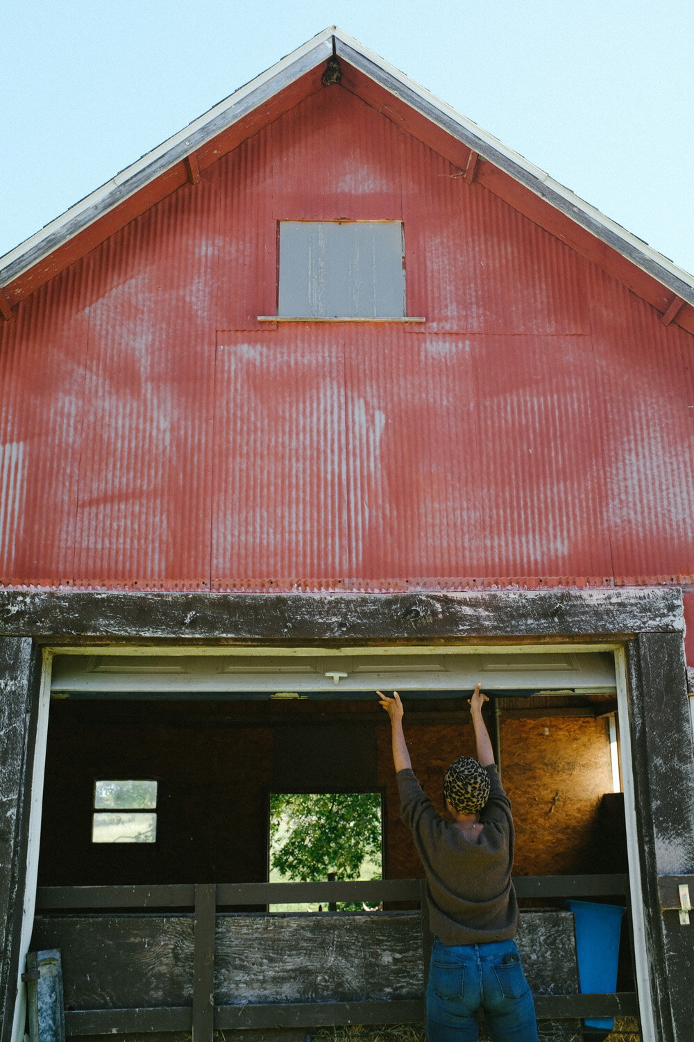 Farm (82 of 121).jpg