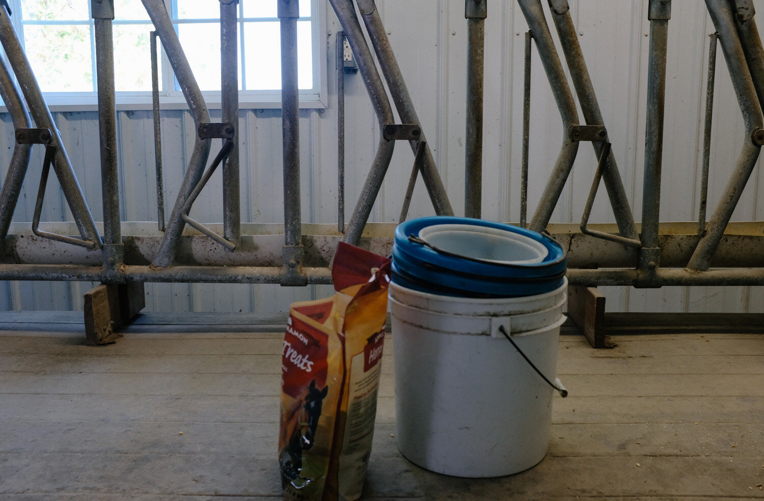 Farm (84 of 121).jpg