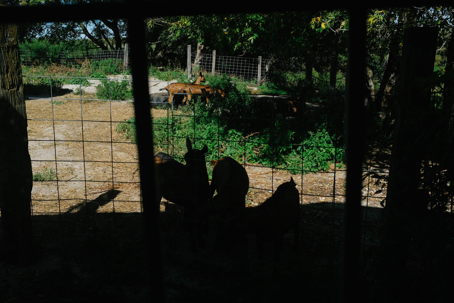 Farm (90 of 121).jpg
