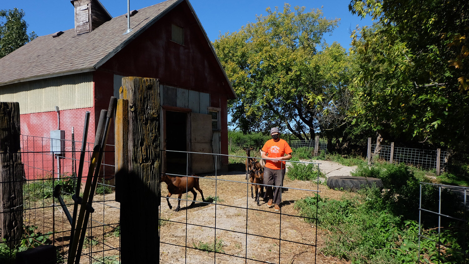 Farm (95 of 121).jpg