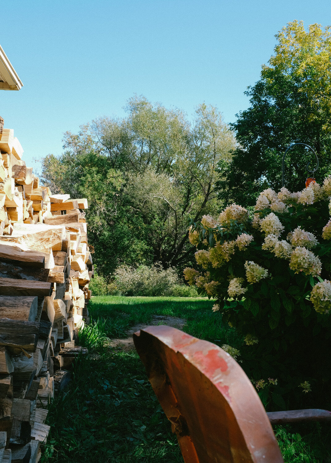Farm (100 of 121).jpg
