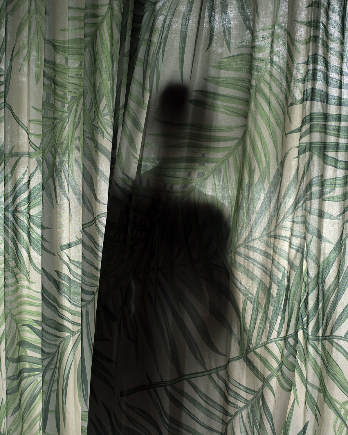 Palm_Curtains_1500.jpg