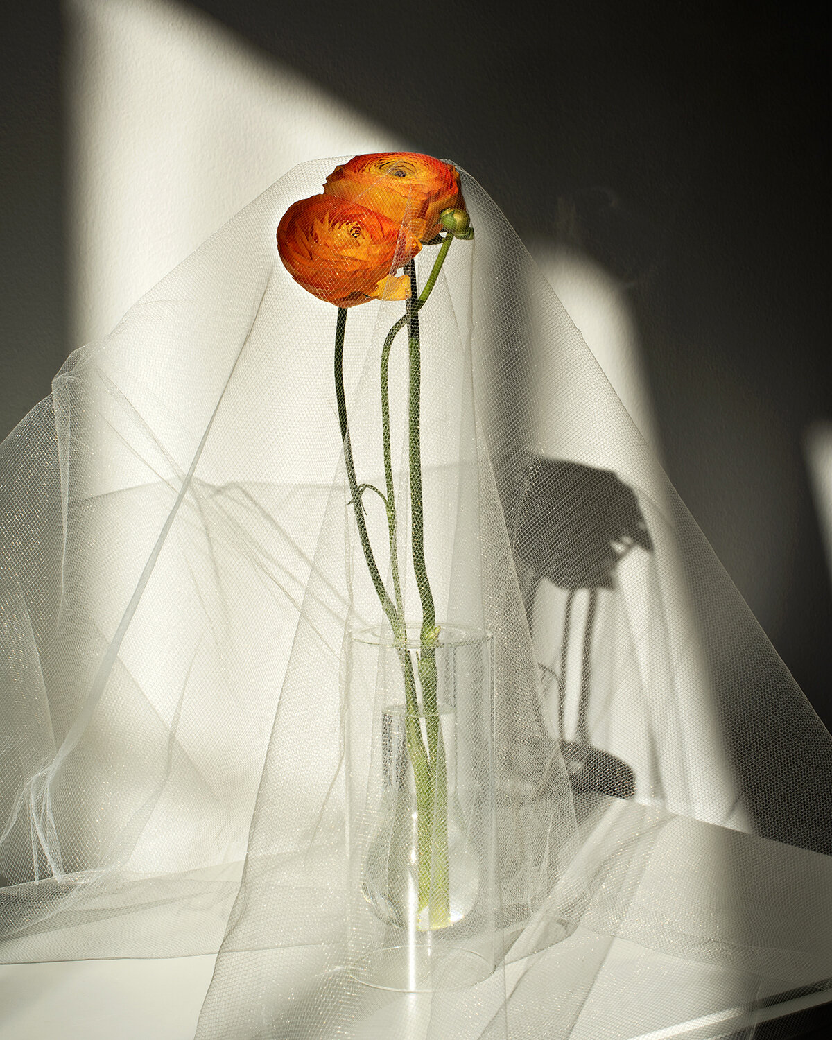 Flowers_09_Flat_1500.jpg