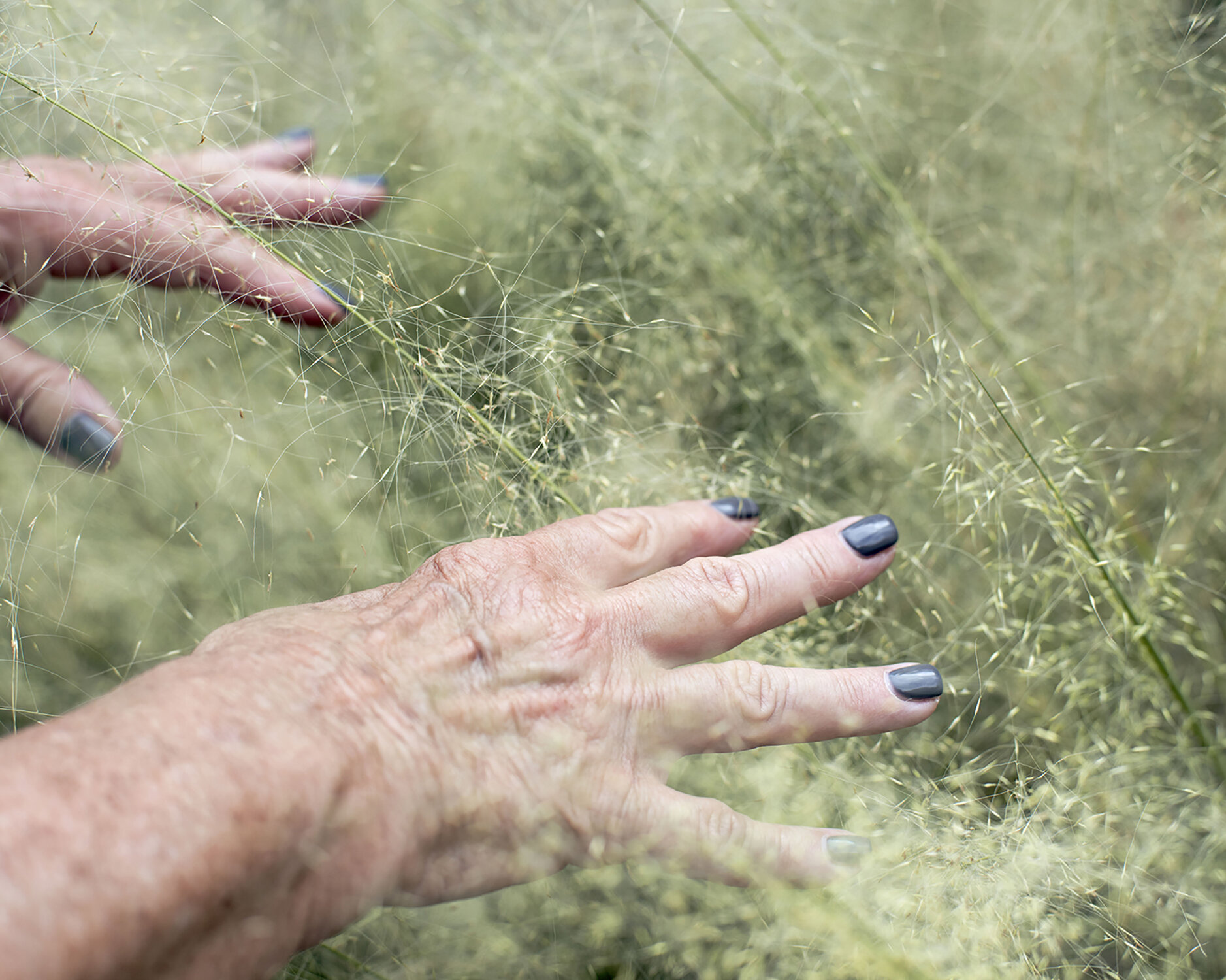 Grandmas_Hands_1500.jpg